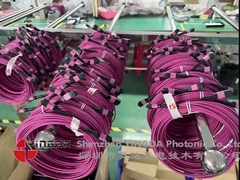 12 Sợi MPO Phụ nữ Connector Patch Cord OM4 50/125um Elite Loss 0.35dB Purple Polarity A