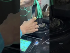 12 sợi OM3 10Gig MTP Cáp MPO, Cáp thân MPO - MPO 12 F.O. OM3 15 Mts