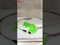 Sợi quang PLC Splitter MPO đến kết nối SC 16 lõi