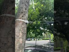 Kẹp neo cáp treo quang FTTH cho cáp ADSS 8-12mm