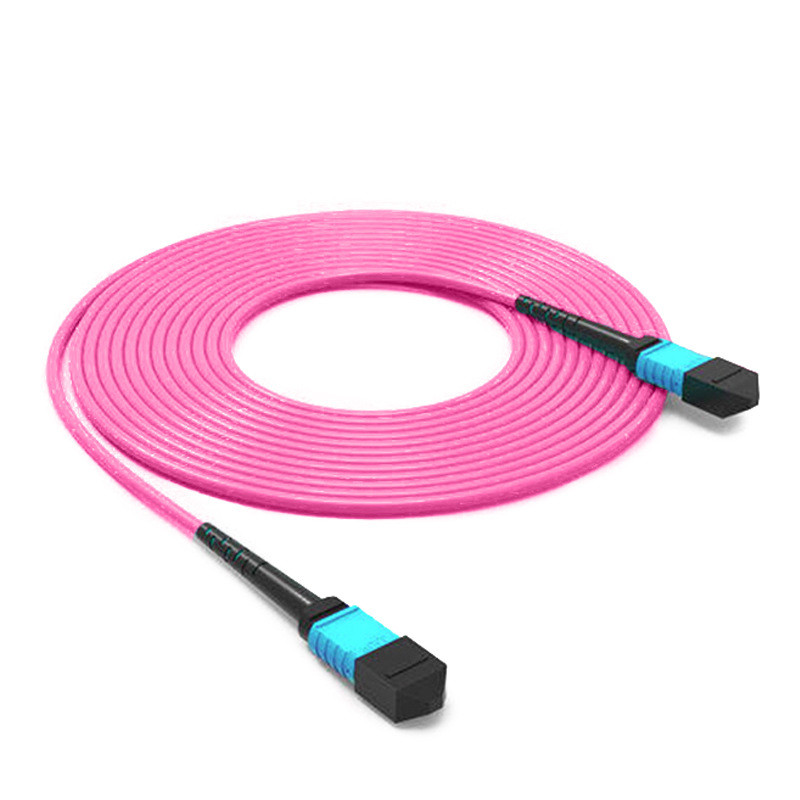 Blog công ty mới nhất về MPO Trunk Cable và Patch Cords: Các thành phần thiết yếu cho các trung tâm dữ liệu hiện đại