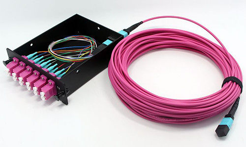 Mua Sợi quang MPO MTP Cable 8 Sợi OM4 LSZH Jacket cho kết nối mạng Trung tâm dữ liệu sản xuất trực tuyến