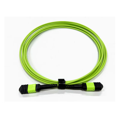 Mua Mật độ cao 12 lõi Multimode OM5 100G Cáp quang MPO đến MPO loại B cho hệ thống truyền thông quang. sản xuất trực tuyến