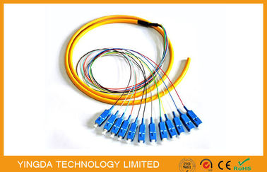 Mua Ngành 12 Core SC Fiber Optic Pigtail Breakout, FTTH SM LSZH SC sợi Pigtail Corning Fiber G652D sản xuất trực tuyến