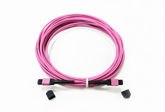 Mua 12 Sợi MPO Đầu nối Nữ Sợi dây Patch OM4 50 / 125um Elite Loss 0.35dB Tím Phân cực A sản xuất trực tuyến